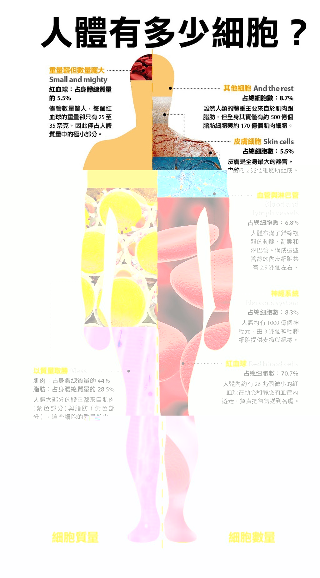 0ab35fc428671c60db6886942085e33a.jpg