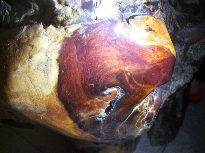 100_3613.jpg