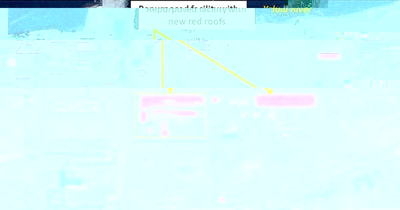780.jpg