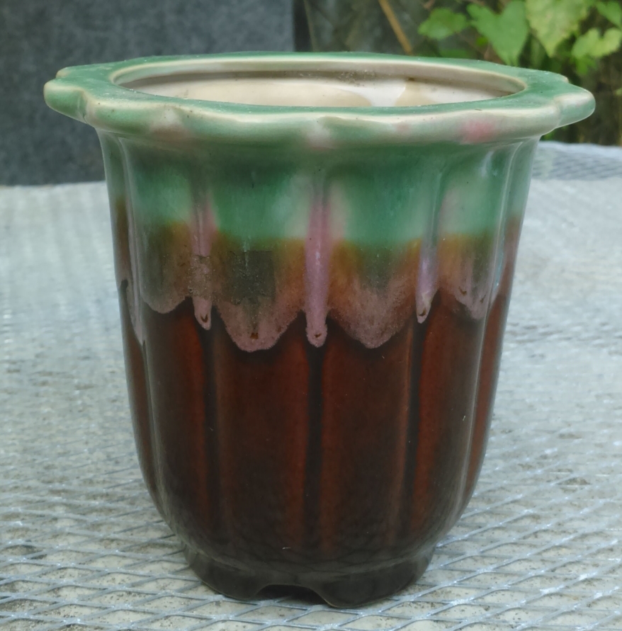 DSC_0005_看图王.jpg