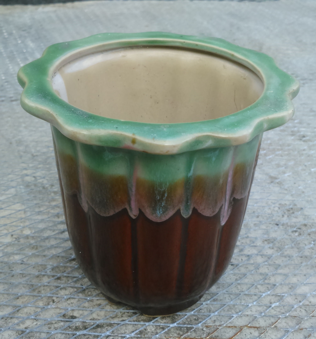 DSC_0014_看图王.jpg